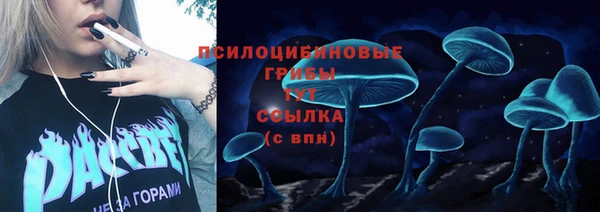трава Абдулино