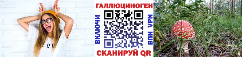 купить наркоту  Алдан  Галлюциногенные грибы мухоморы 